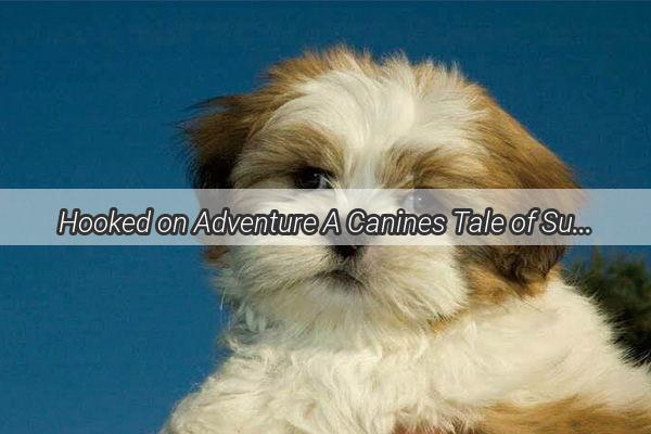 Hooked on Adventure A Canines Tale of Survival and Resilience